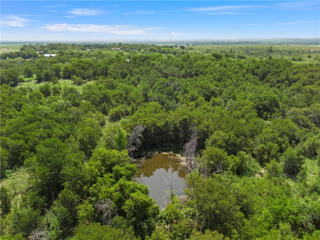 TBD Hcr 3255, Mount Calm, Texas image 8