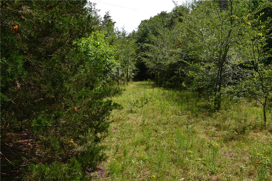 TBD Cr 2244, Quinlan, Texas image 5