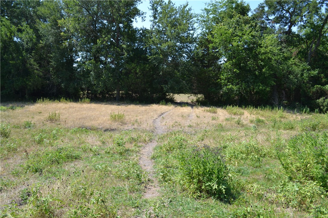 TBD Cr 2244, Quinlan, Texas image 1