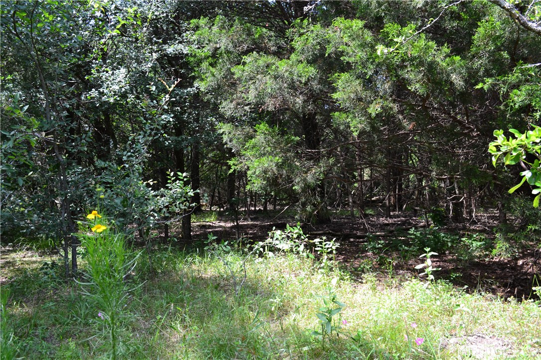 TBD Cr 2244, Quinlan, Texas image 6