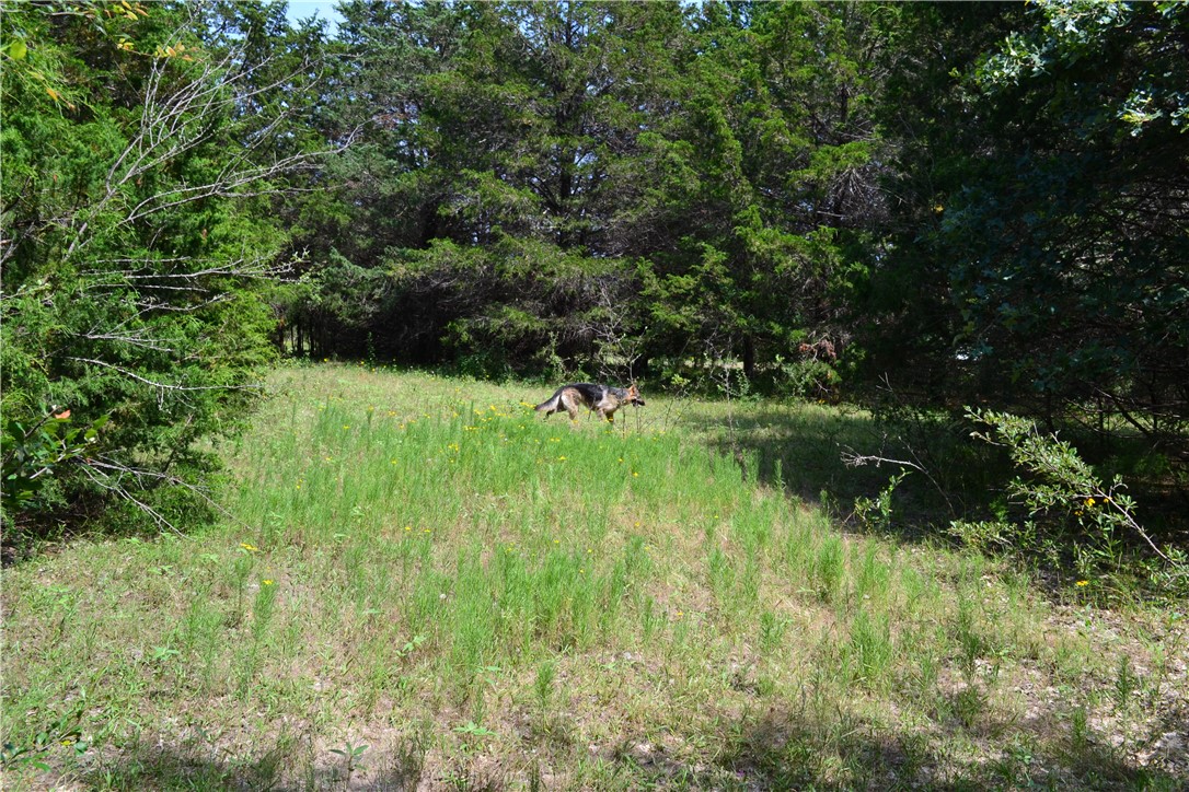 TBD Cr 2244, Quinlan, Texas image 7