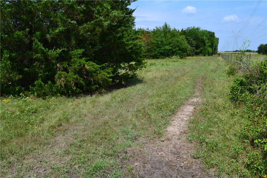 TBD Cr 2244, Quinlan, Texas image 10