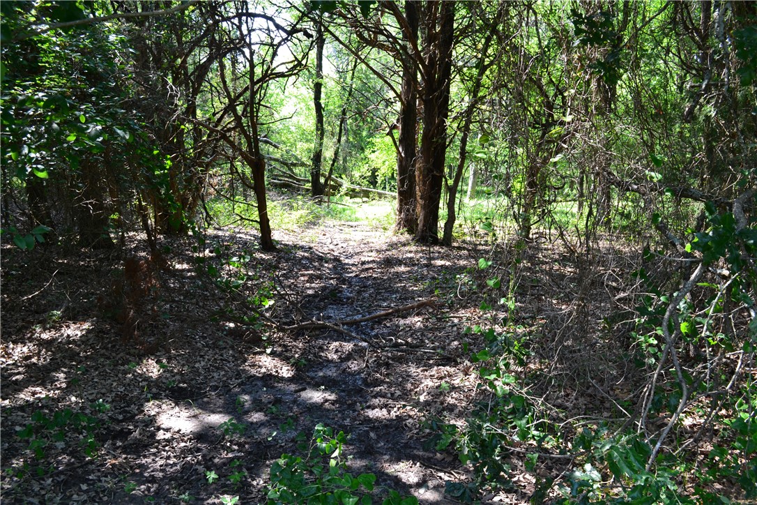 TBD Cr 2244, Quinlan, Texas image 9