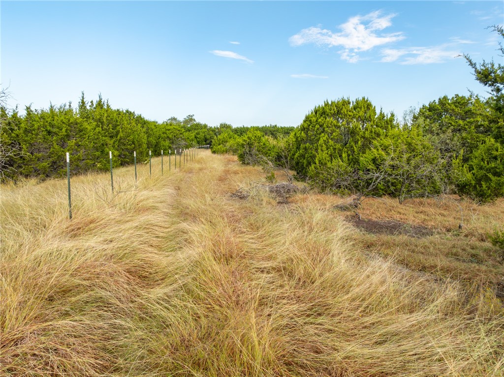 339 Lake Whitney Drive, Whitney, Texas image 19