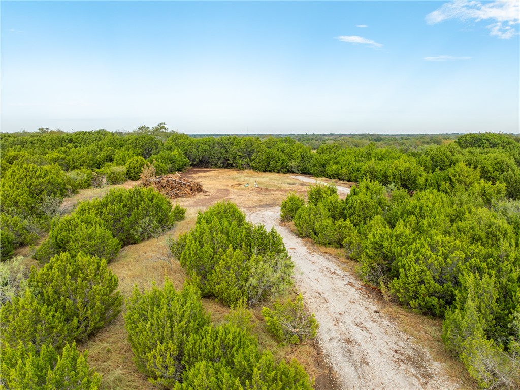 339 Lake Whitney Drive, Whitney, Texas image 22