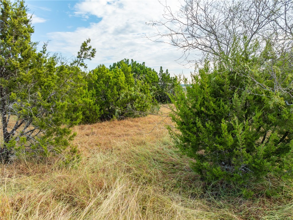 339 Lake Whitney Drive, Whitney, Texas image 20