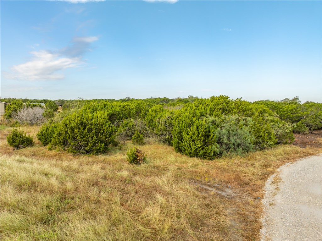 339 Lake Whitney Drive, Whitney, Texas image 16