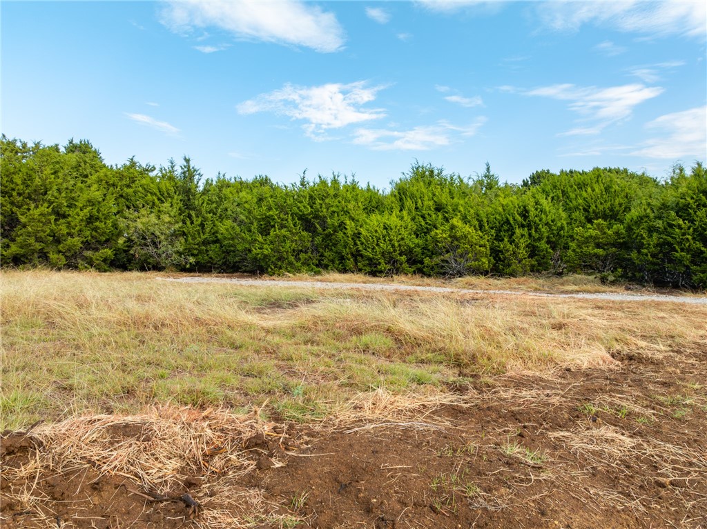 339 Lake Whitney Drive, Whitney, Texas image 29