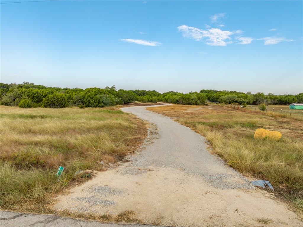 339 Lake Whitney Drive, Whitney, Texas image 1