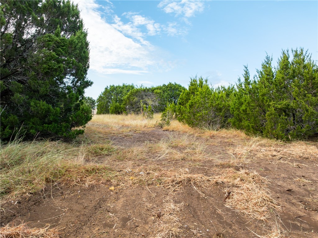 339 Lake Whitney Drive, Whitney, Texas image 25