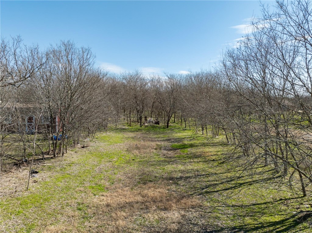 109 Sycamore Street, Hillsboro, Texas image 4