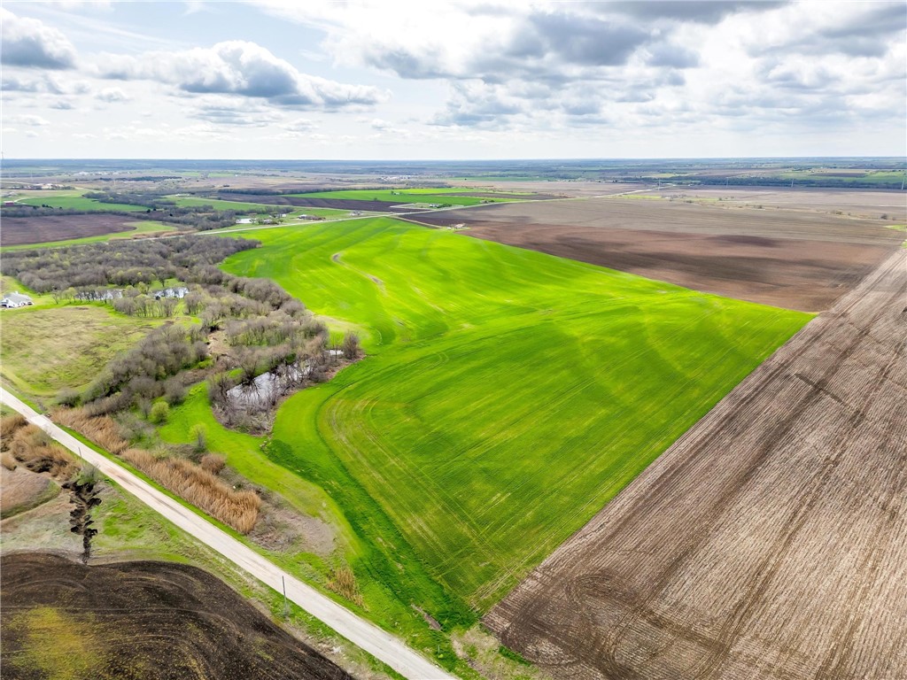 TBD Fm 2114, Penelope, Texas image 3