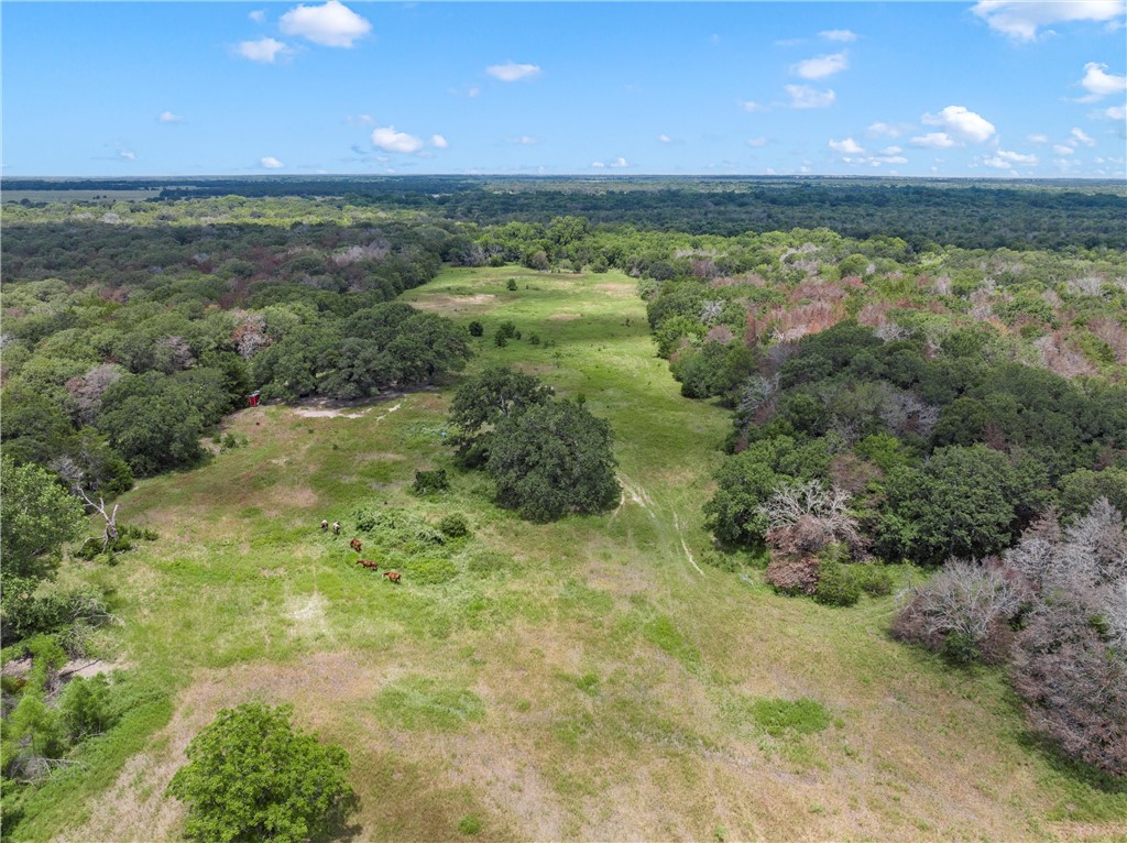 1455 Lcr 374 Road, Groesbeck, Texas image 8