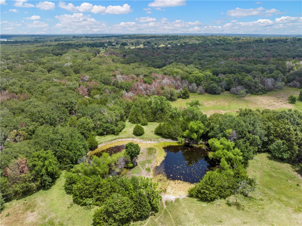 1455 Lcr 374 Road, Groesbeck, Texas image 6