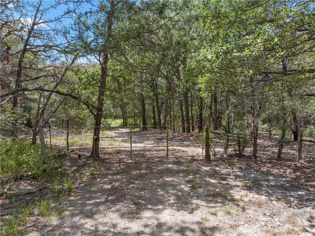 1455 Lcr 374 Road, Groesbeck, Texas image 2