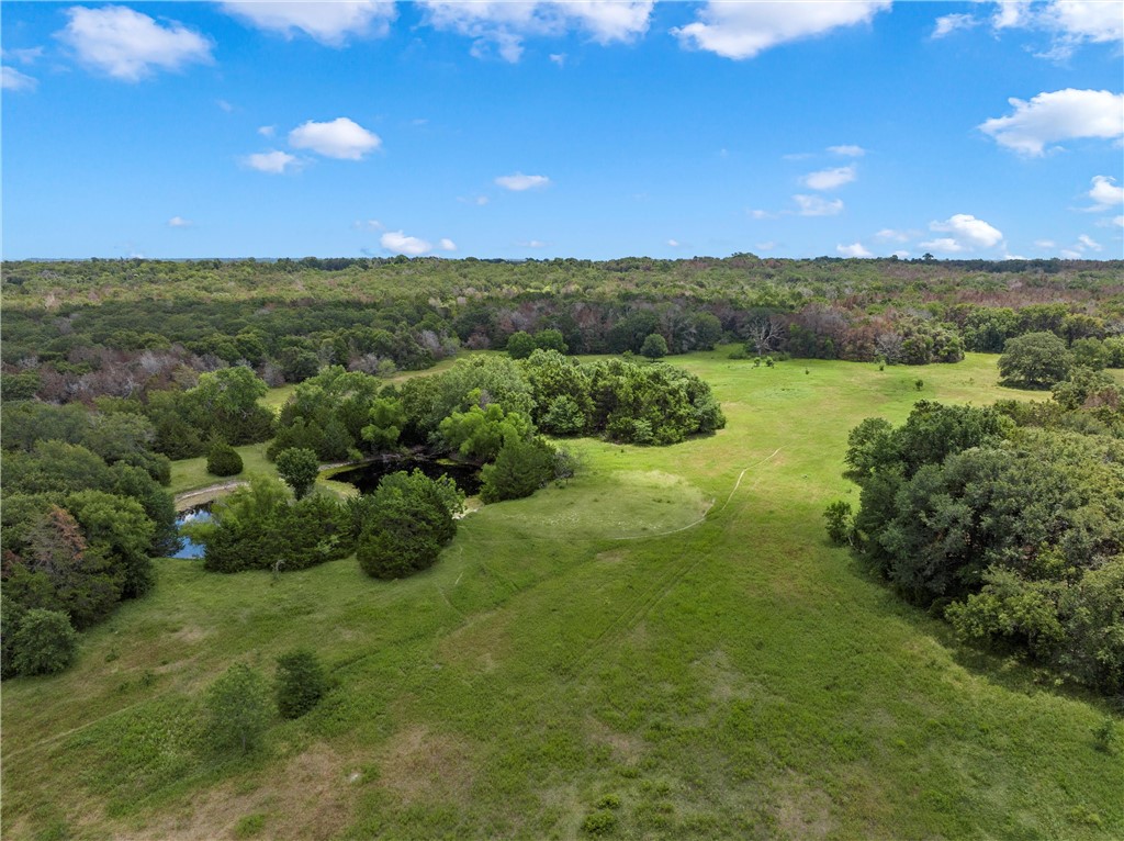 1455 Lcr 374 Road, Groesbeck, Texas image 12