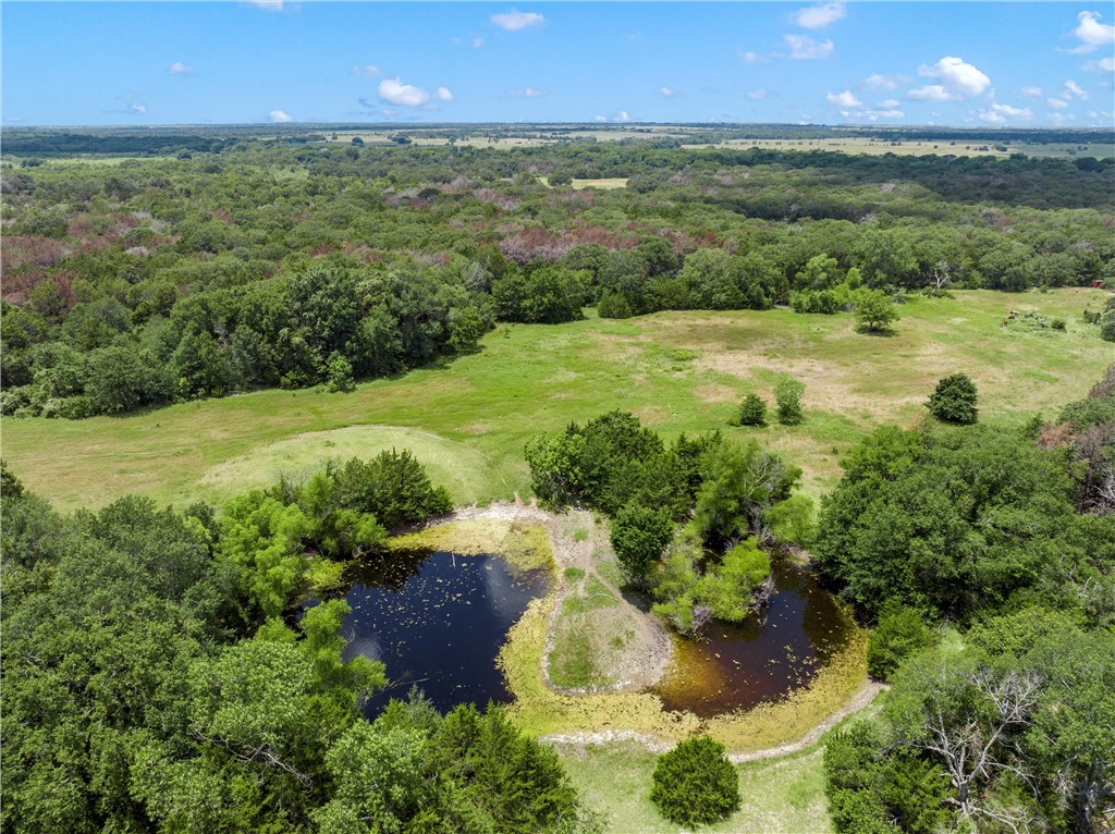 1455 Lcr 374 Road, Groesbeck, Texas image 7