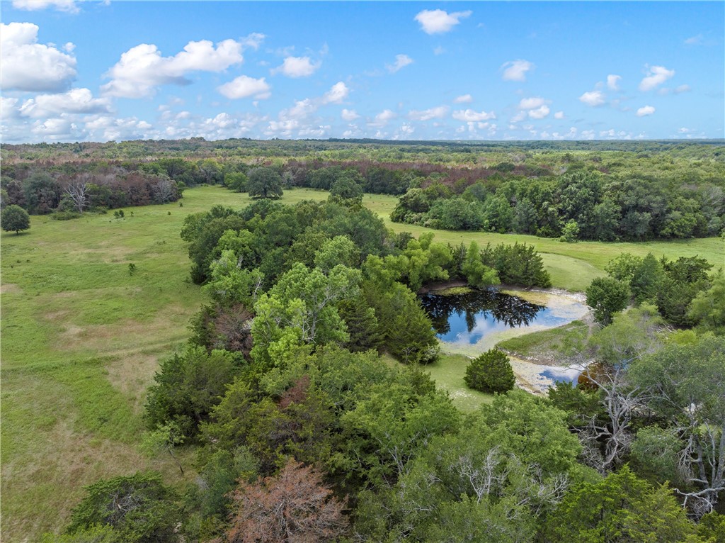 1455 Lcr 374 Road, Groesbeck, Texas image 1