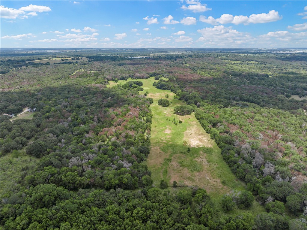 1455 Lcr 374 Road, Groesbeck, Texas image 10