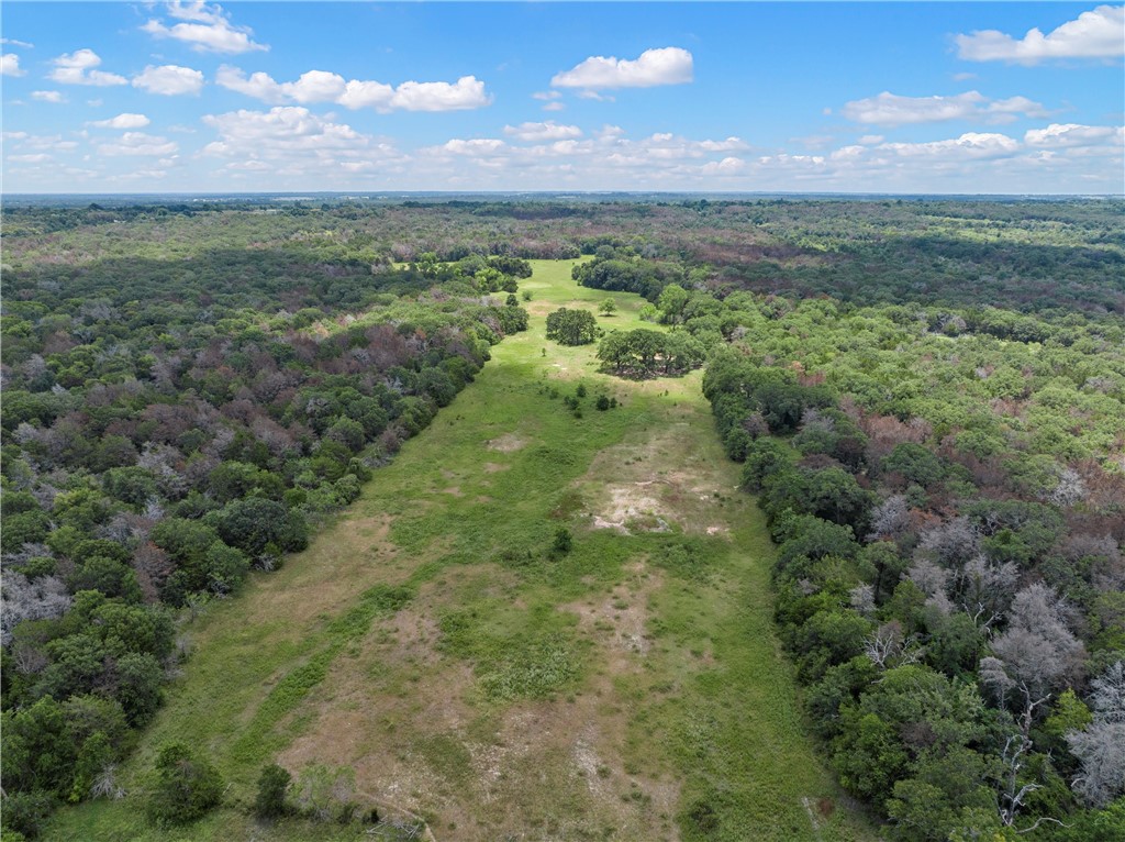 1455 Lcr 374 Road, Groesbeck, Texas image 11