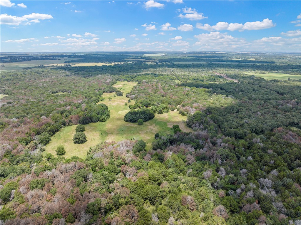 1455 Lcr 374 Road, Groesbeck, Texas image 4