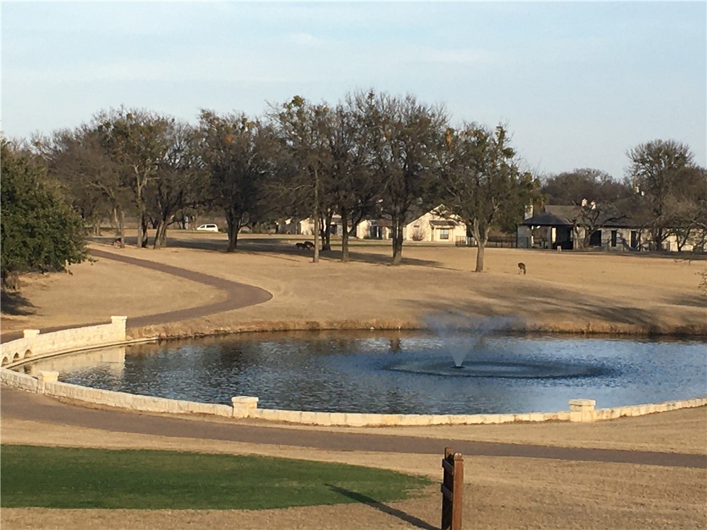 1005 White Bluff Drive, Whitney, Texas image 11