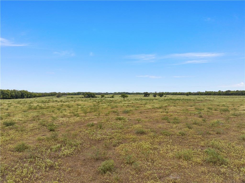 TBD Fm 339, Kosse, Texas image 4