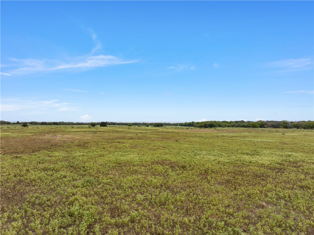 TBD Fm 339, Kosse, Texas image 3