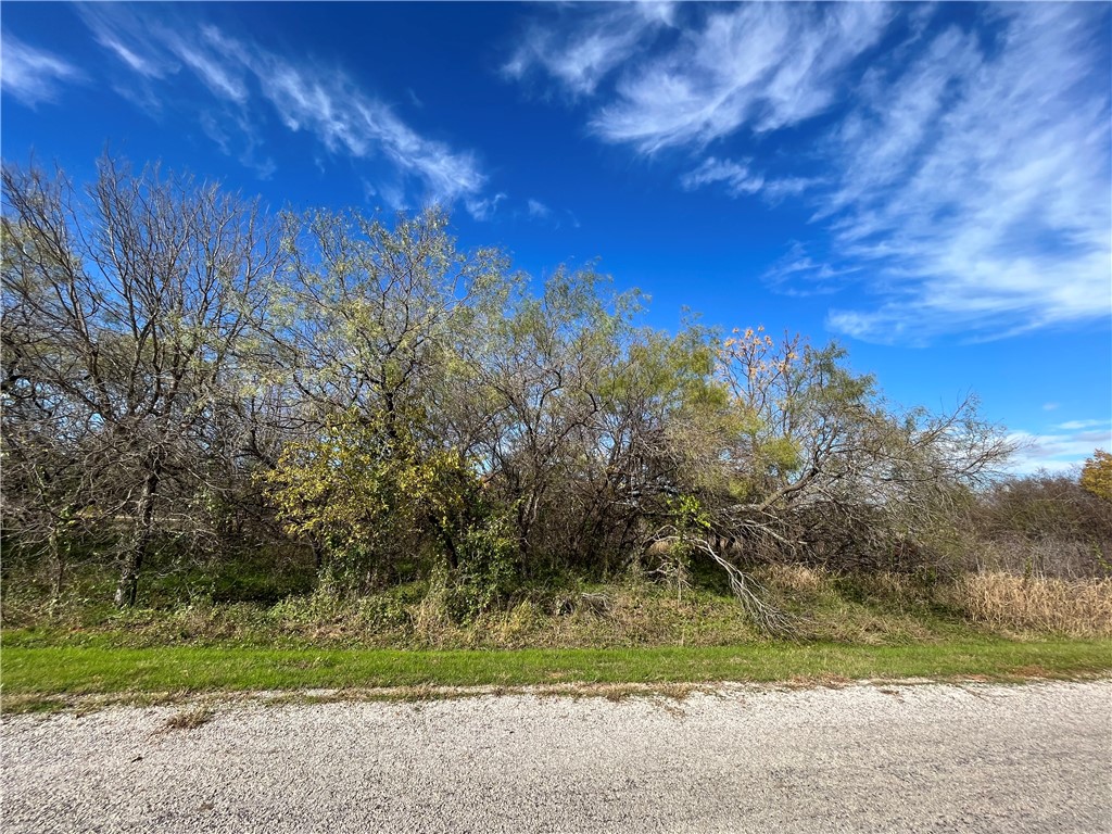 23030 Westmeadow Drive, Whitney, Texas image 1