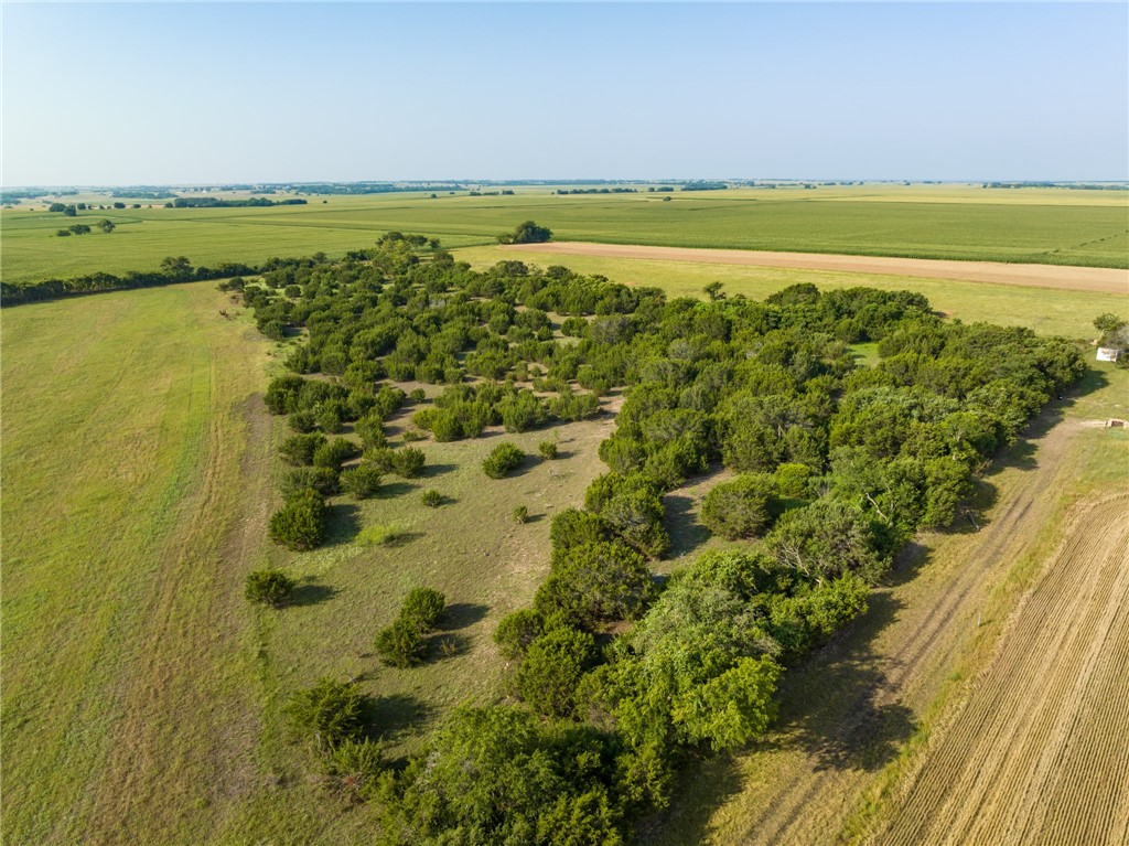 16401 Cedar Rock Parkway, Crawford, Texas image 35