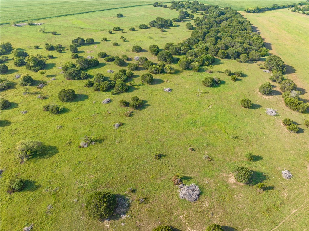 16401 Cedar Rock Parkway, Crawford, Texas image 39