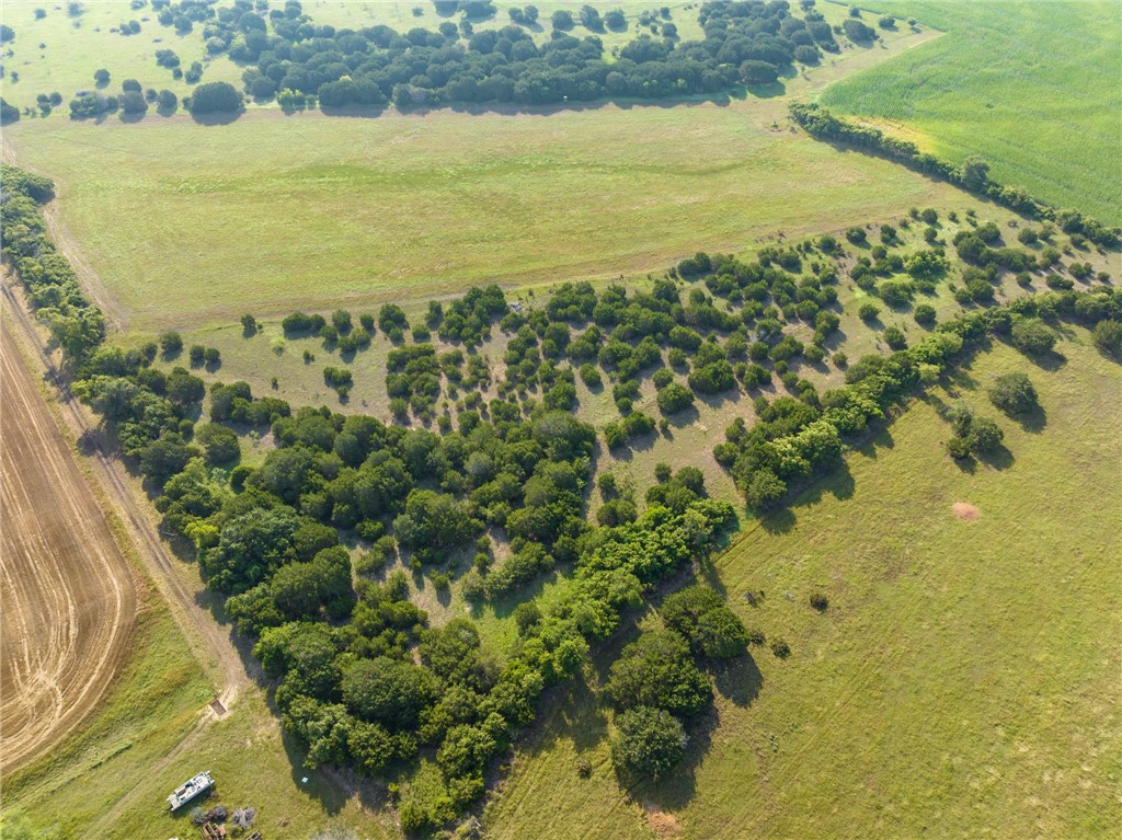 16401 Cedar Rock Parkway, Crawford, Texas image 33