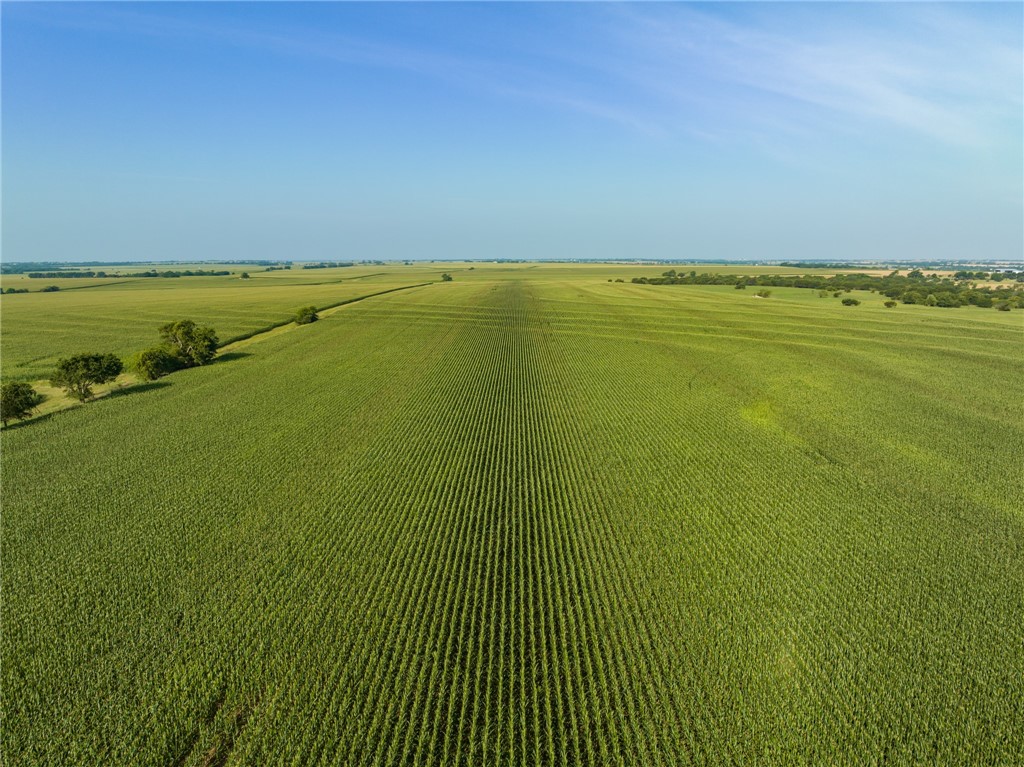 16401 Cedar Rock Parkway, Crawford, Texas image 24