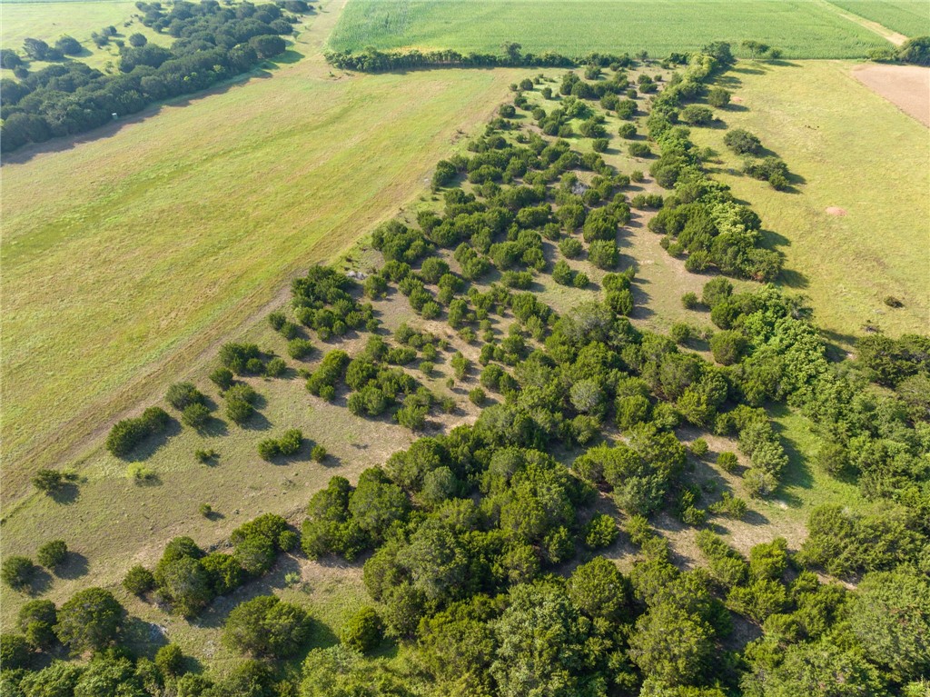 16401 Cedar Rock Parkway, Crawford, Texas image 34