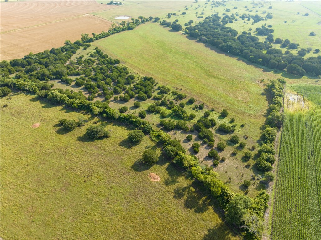 16401 Cedar Rock Parkway, Crawford, Texas image 11