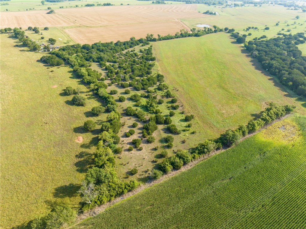 16401 Cedar Rock Parkway, Crawford, Texas image 32