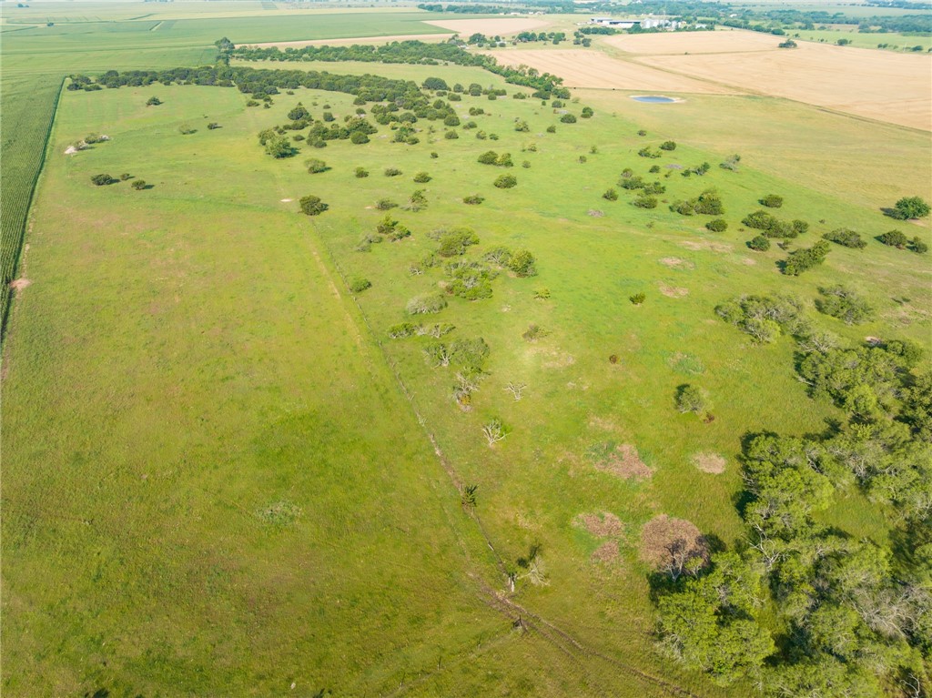 16401 Cedar Rock Parkway, Crawford, Texas image 46