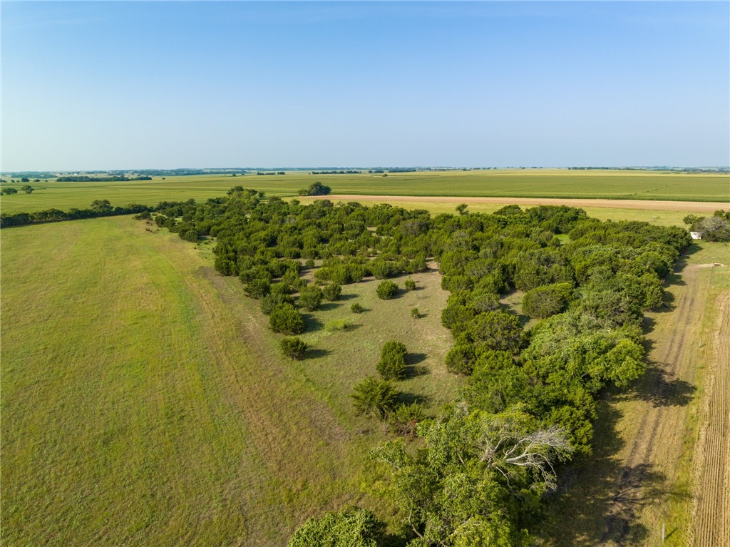 16401 Cedar Rock Parkway, Crawford, Texas image 36