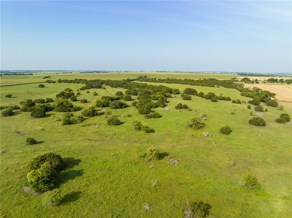 16401 Cedar Rock Parkway, Crawford, Texas image 41