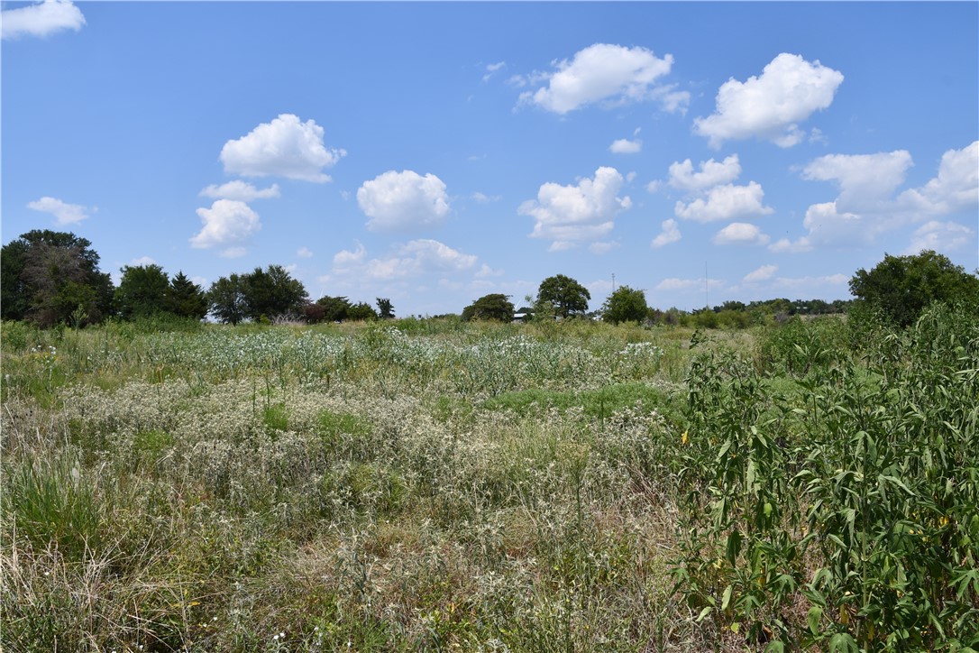 Lot 8 Hcr 3363, Mount Calm, Texas image 2