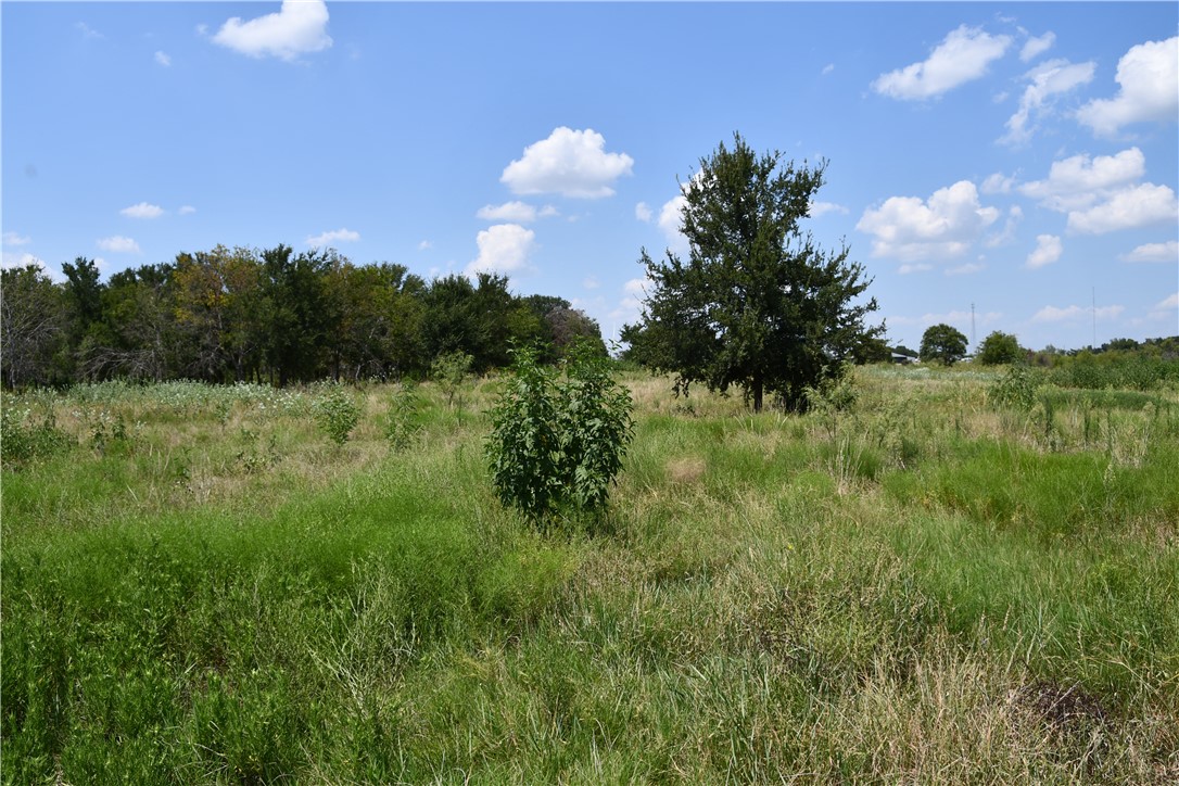 Lot 8 Hcr 3363, Mount Calm, Texas image 3