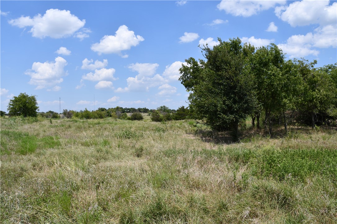 Lot 8 Hcr 3363, Mount Calm, Texas image 4