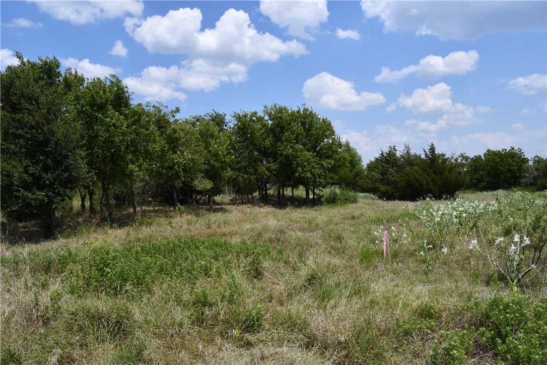 Lot 8 Hcr 3363, Mount Calm, Texas image 1