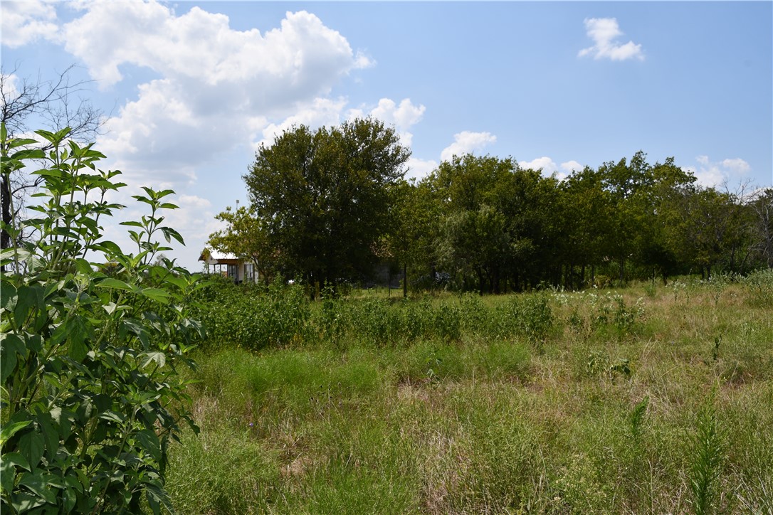 Lot 8 Hcr 3363, Mount Calm, Texas image 9