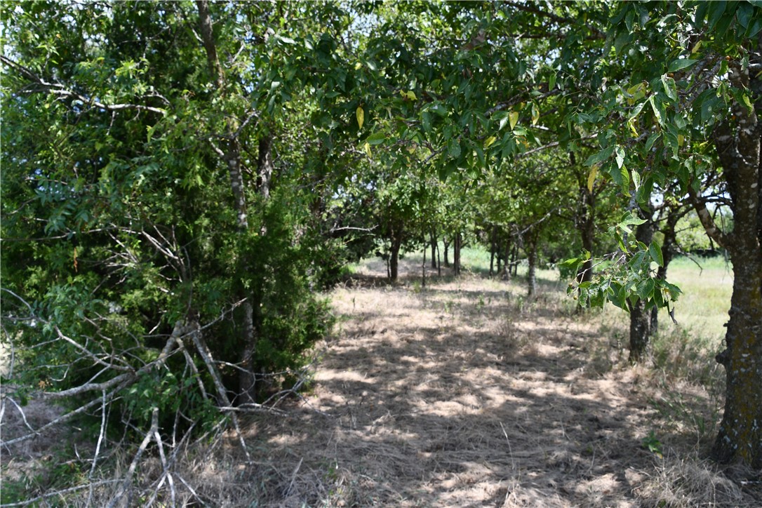 Lot 8 Hcr 3363, Mount Calm, Texas image 6