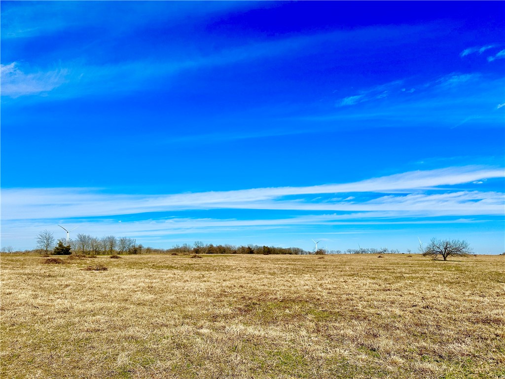 Tract 1 Fm 339 Road, Mount Calm, Texas image 3