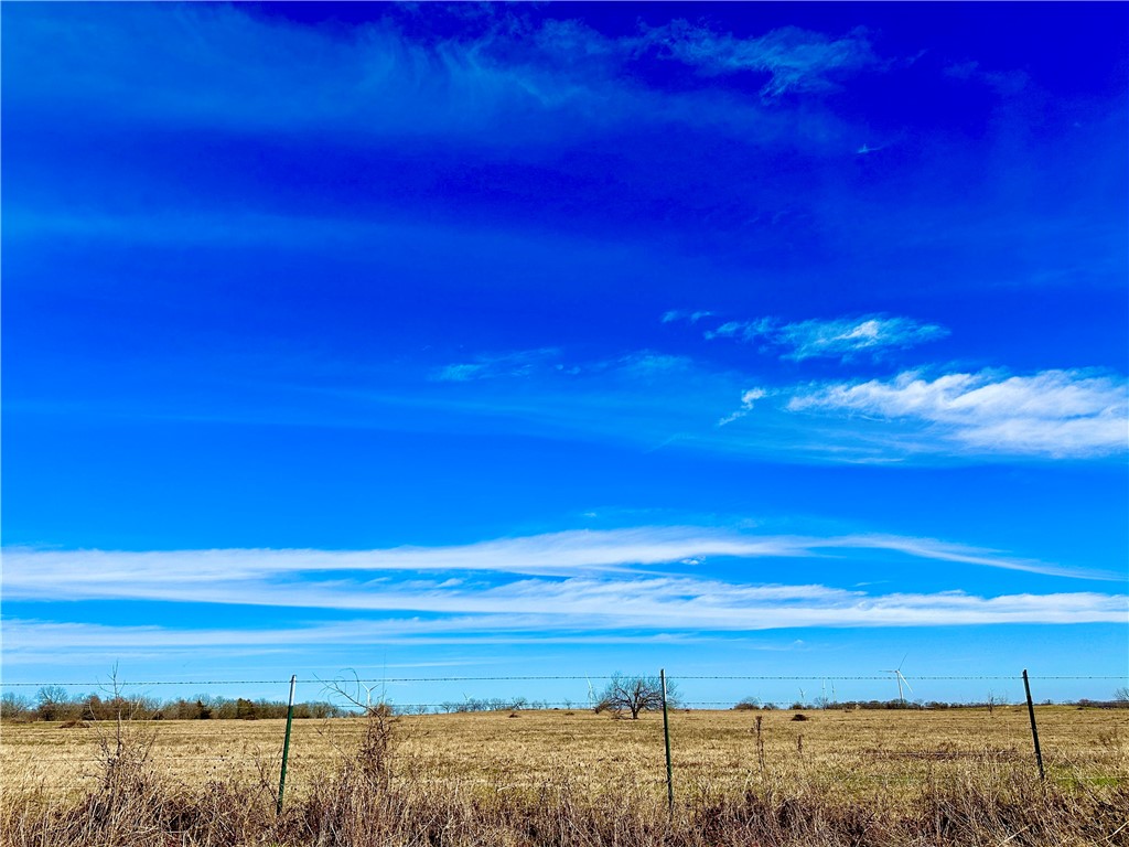 Tract 1 Fm 339 Road, Mount Calm, Texas image 2