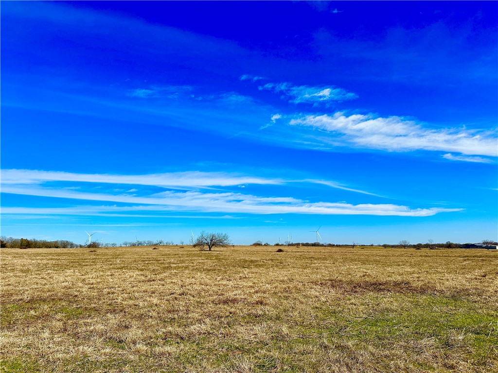 Tract 1 Fm 339 Road, Mount Calm, Texas image 6