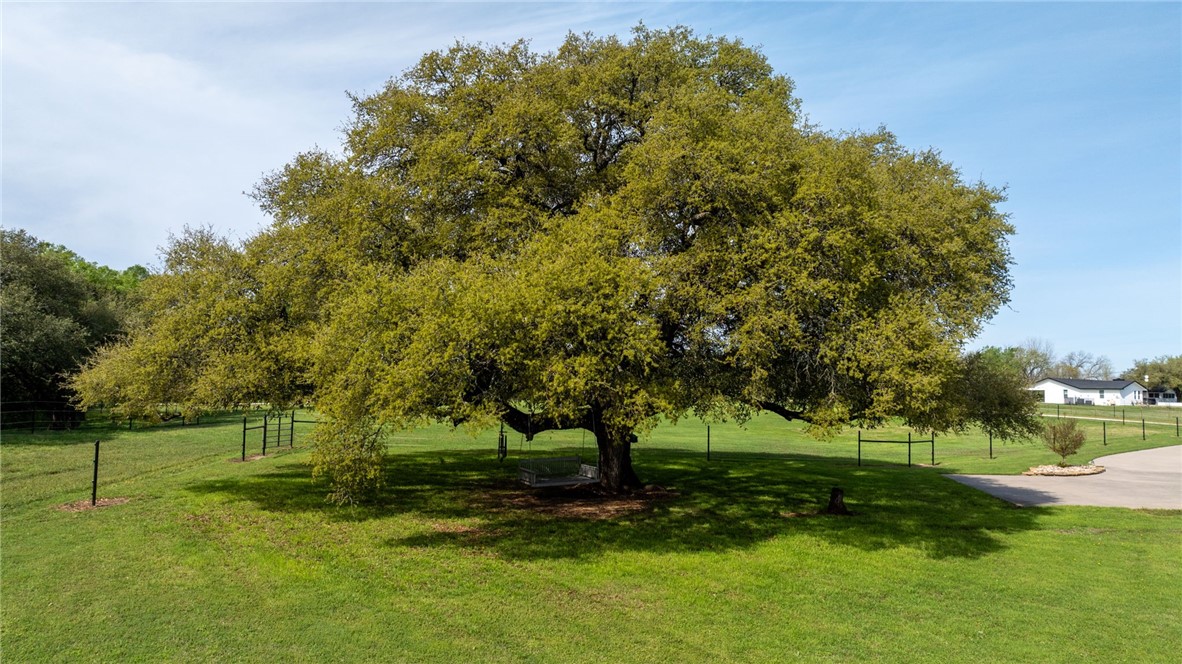 110 Pr 3661 Road, China Spring, Texas image 5