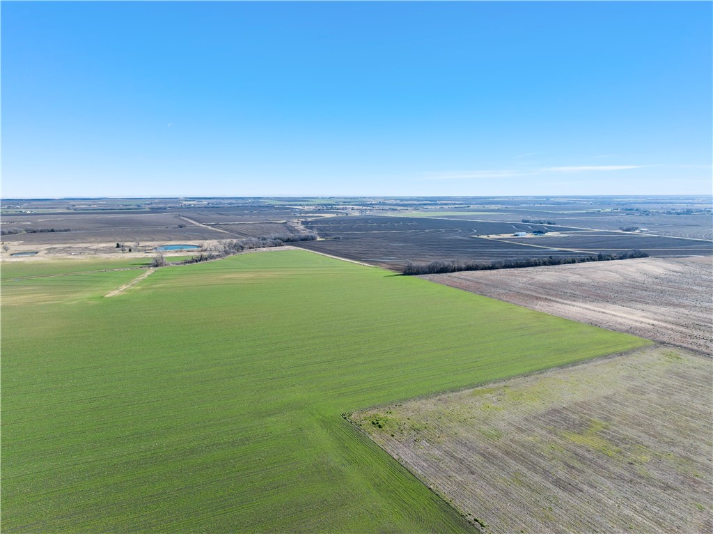 TBD Trlica Road, West, Texas image 3